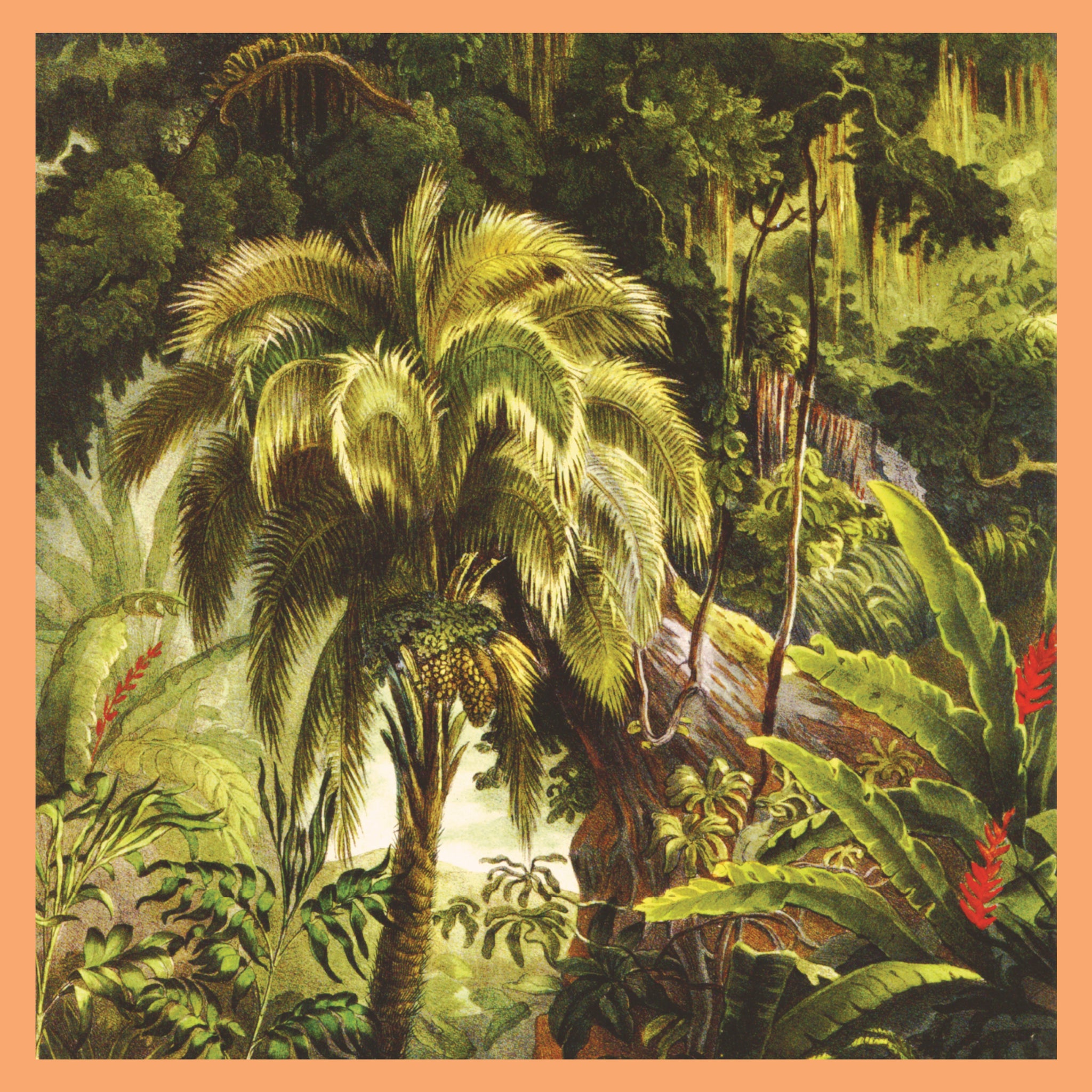 Lescop – Lescop LP レコード 'La Foret' Lescop – La Forêt – CD (EP), 2012 [r3728779] | Discogs